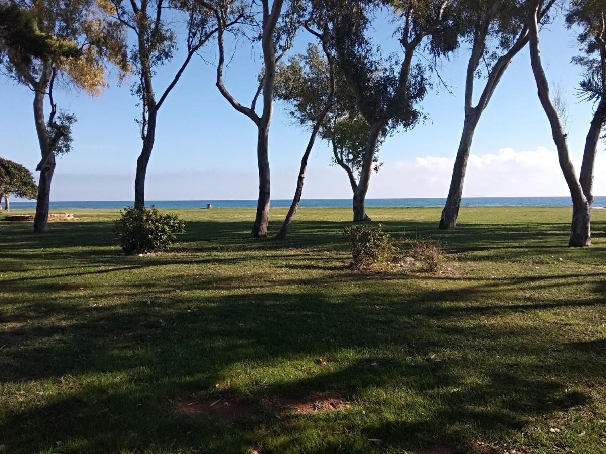 Appartamento ACV - Costa Marina II - 1ª linea planta 6 sur Oropesa del Mar Esterno foto